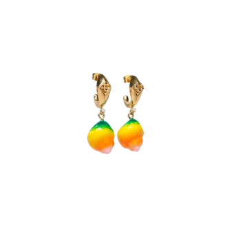 Orecchini a goccia in conchiglia